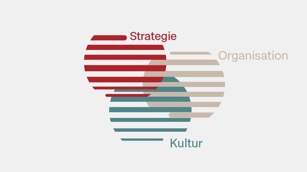 infografik-kompetenzfelder